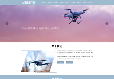 專業(yè)網(wǎng)站建設(shè)與設(shè)計(jì)提供一站式解決方案