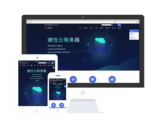 虛擬主機(jī)公司