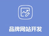 品牌網(wǎng)站建設(shè) 