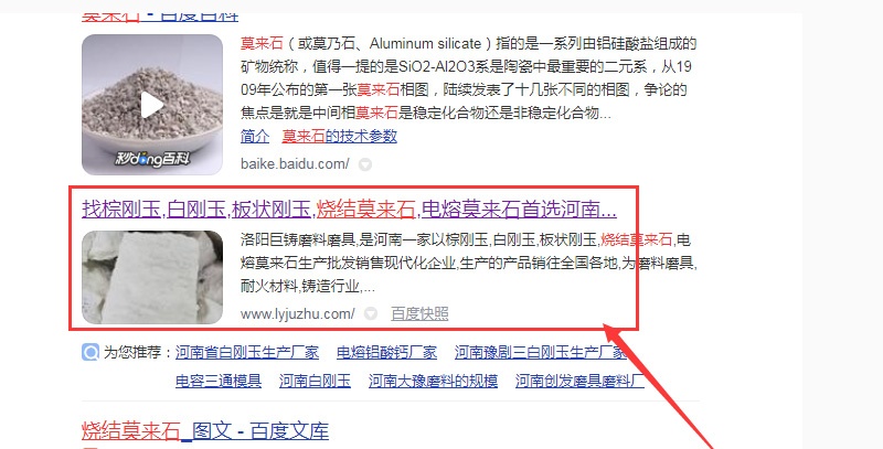 洛陽網(wǎng)站優(yōu)化案例