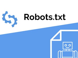 冬鏡SEO 網(wǎng)站優(yōu)化中的robots文件是否要放在根目錄？ 