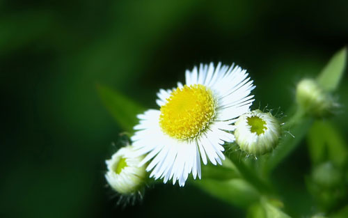 網站建設的好處