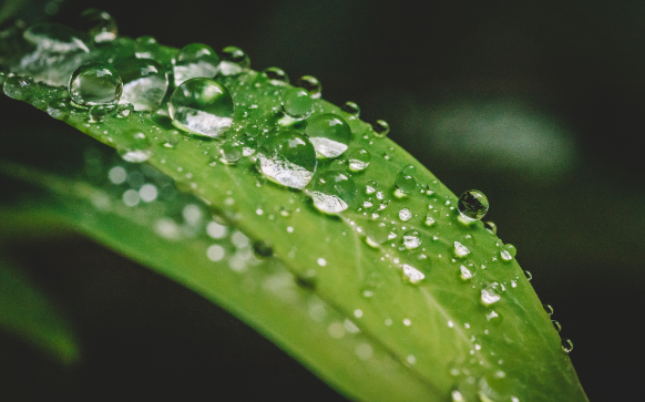 網(wǎng)站改版要注意什么
